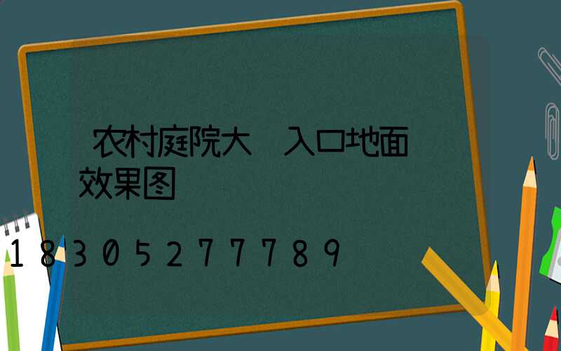 农村庭院大门入口地面设计效果图