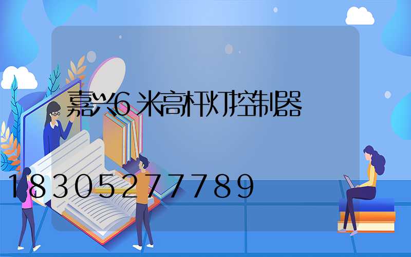 嘉兴6米高杆灯控制器