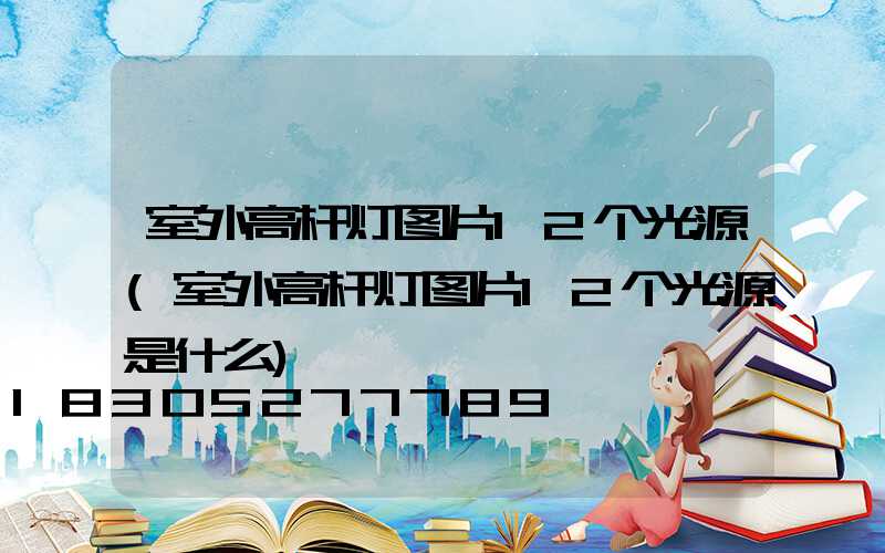 室外高杆灯图片12个光源(室外高杆灯图片12个光源是什么)