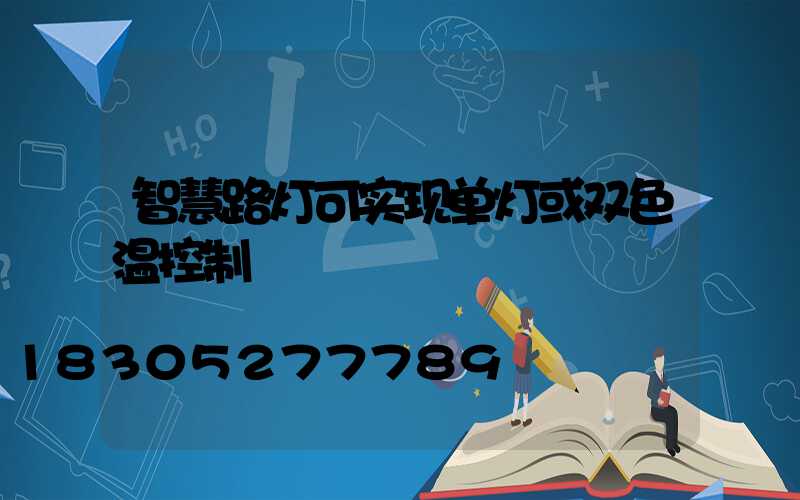 智慧路灯可实现单灯或双色温控制