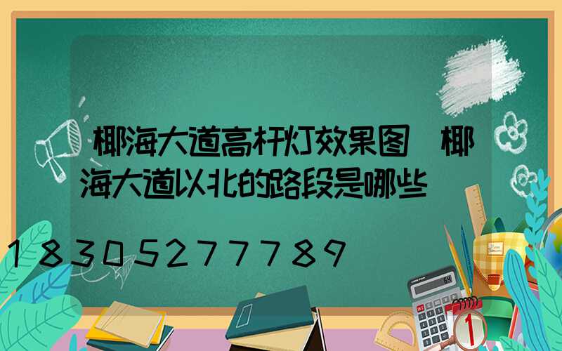 椰海大道高杆灯效果图(椰海大道以北的路段是哪些)